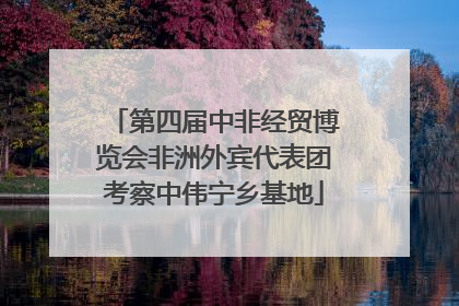 第四届中非经贸博览会非洲外宾代表团考察中伟宁乡基地