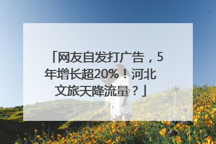 网友自发打广告，5年增长超20%！河北文旅天降流量？