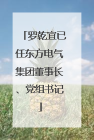 罗乾宜已任东方电气集团董事长、党组书记