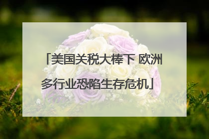 美国关税大棒下 欧洲多行业恐陷生存危机