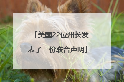 美国22位州长发表了一份联合声明