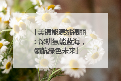 美锦能源姚锦丽：深耕氢能蓝海，领航绿色未来