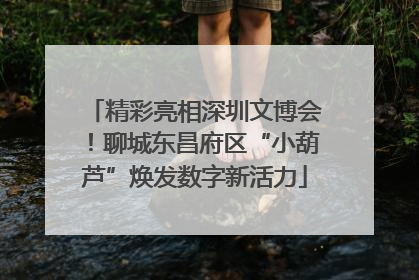 精彩亮相深圳文博会！聊城东昌府区“小葫芦”焕发数字新活力
