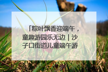 粽叶飘香迎端午，童趣游园乐无边｜沙子口街道儿童端午游园活动圆满落幕