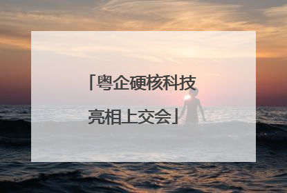 粤企硬核科技亮相上交会