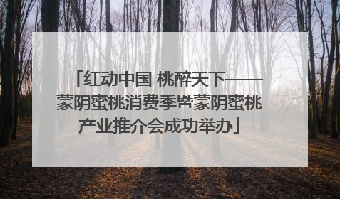 红动中国 桃醉天下——蒙阴蜜桃消费季暨蒙阴蜜桃产业推介会成功举办
