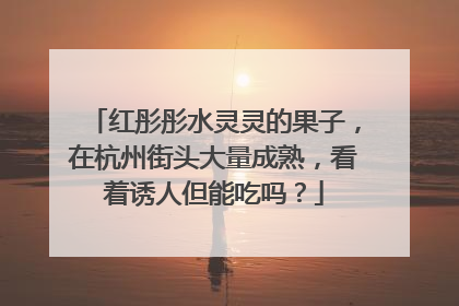 红彤彤水灵灵的果子，在杭州街头大量成熟，看着诱人但能吃吗？