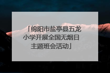 绵阳市盐亭县五龙小学开展全国无烟日主题班会活动