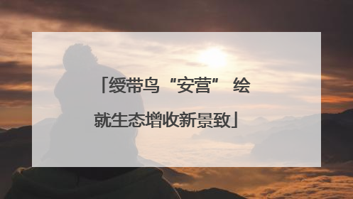 绶带鸟“安营” 绘就生态增收新景致