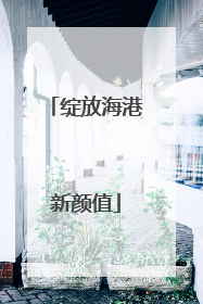 绽放海港新颜值