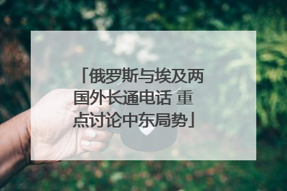 俄罗斯与埃及两国外长通电话 重点讨论中东局势
