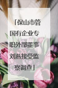 保山市管国有企业专职外部董事刘燕接受监察调查