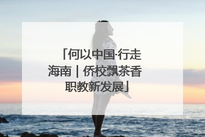 何以中国·行走海南｜侨校飘茶香 职教新发展