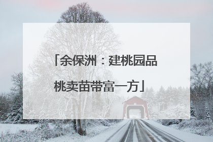 余保洲：建桃园品桃卖苗带富一方