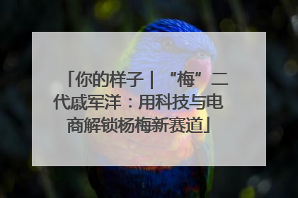 你的样子｜“梅”二代戚军洋：用科技与电商解锁杨梅新赛道