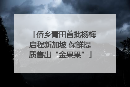 侨乡青田首批杨梅启程新加坡 保鲜提质售出“金果果”
