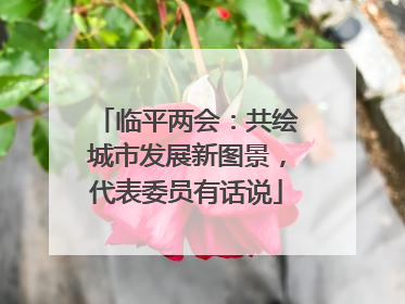 临平两会：共绘城市发展新图景，代表委员有话说