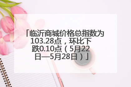 临沂商城价格总指数为103.28点，环比下跌0.10点（5月22日—5月28日）
