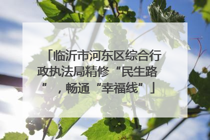 临沂市河东区综合行政执法局精修“民生路”，畅通“幸福线”
