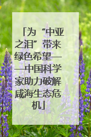 为“中亚之泪”带来绿色希望——中国科学家助力破解咸海生态危机