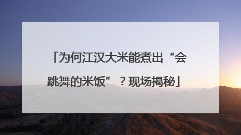 为何江汉大米能煮出“会跳舞的米饭”？现场揭秘