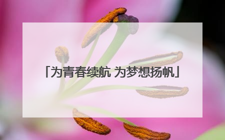为青春续航 为梦想扬帆