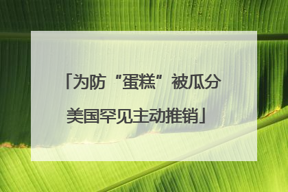 为防“蛋糕”被瓜分 美国罕见主动推销