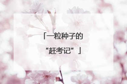 一粒种子的“赶考记”