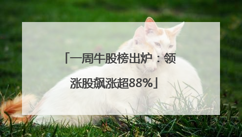 一周牛股榜出炉：领涨股飙涨超88%
