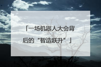 一场机器人大会背后的“智造跃升”