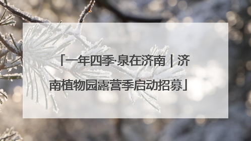一年四季·泉在济南｜济南植物园露营季启动招募