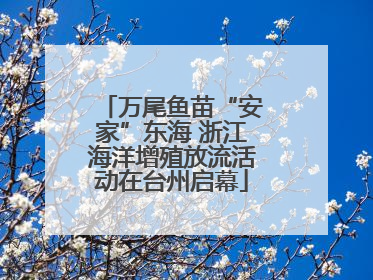 万尾鱼苗“安家”东海 浙江海洋增殖放流活动在台州启幕