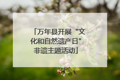 万年县开展“文化和自然遗产日”非遗主题活动