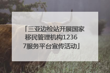 三亚边检站开展国家移民管理机构12367服务平台宣传活动