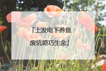 上发电下养鱼 废坑塘巧生金