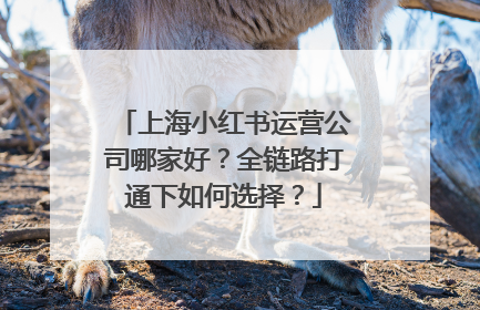 上海小红书运营公司哪家好？全链路打通下如何选择？