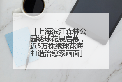 上海滨江森林公园绣球花展启幕，近5万株绣球花海打造治愈系画面