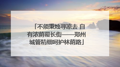 不须秉烛寻凉去 自有浓荫覆长街——郑州城管精细呵护林荫路