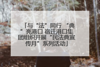 与“法”同行 “典”亮港口 宿迁港口集团组织开展“民法典宣传月”系列活动