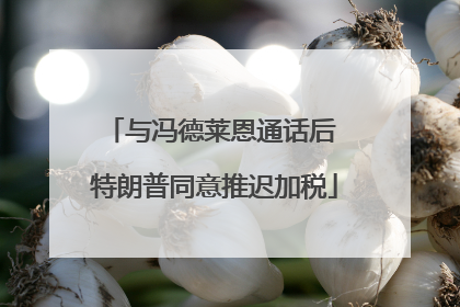 与冯德莱恩通话后 特朗普同意推迟加税