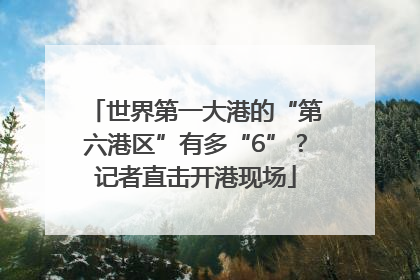 世界第一大港的“第六港区”有多“6”？记者直击开港现场