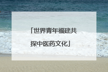 世界青年福建共探中医药文化
