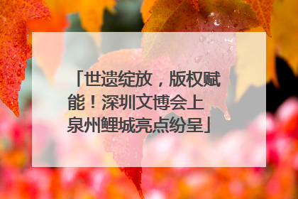 世遗绽放，版权赋能！深圳文博会上 泉州鲤城亮点纷呈
