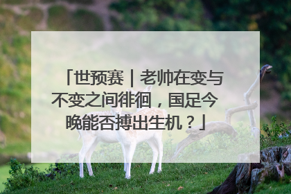 世预赛｜老帅在变与不变之间徘徊，国足今晚能否搏出生机？