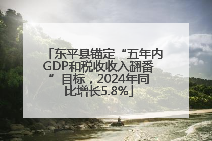 东平县锚定“五年内GDP和税收收入翻番”目标，2024年同比增长5.8%