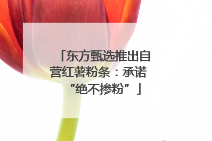 东方甄选推出自营红薯粉条：承诺“绝不掺粉”
