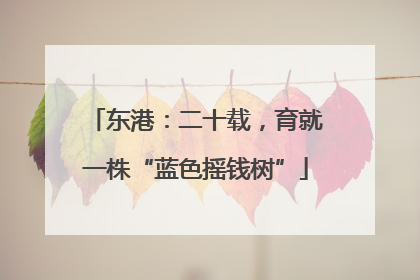 东港：二十载，育就一株“蓝色摇钱树”