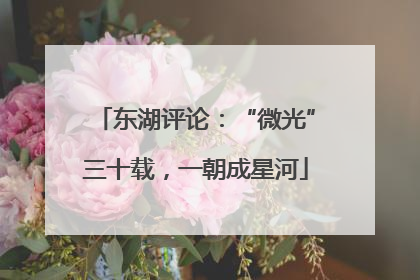 东湖评论：“微光”三十载，一朝成星河