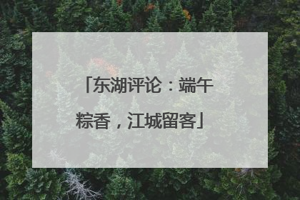 东湖评论：端午粽香，江城留客