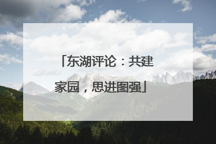 东湖评论：共建家园，思进图强